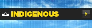 Indigenous.jpg